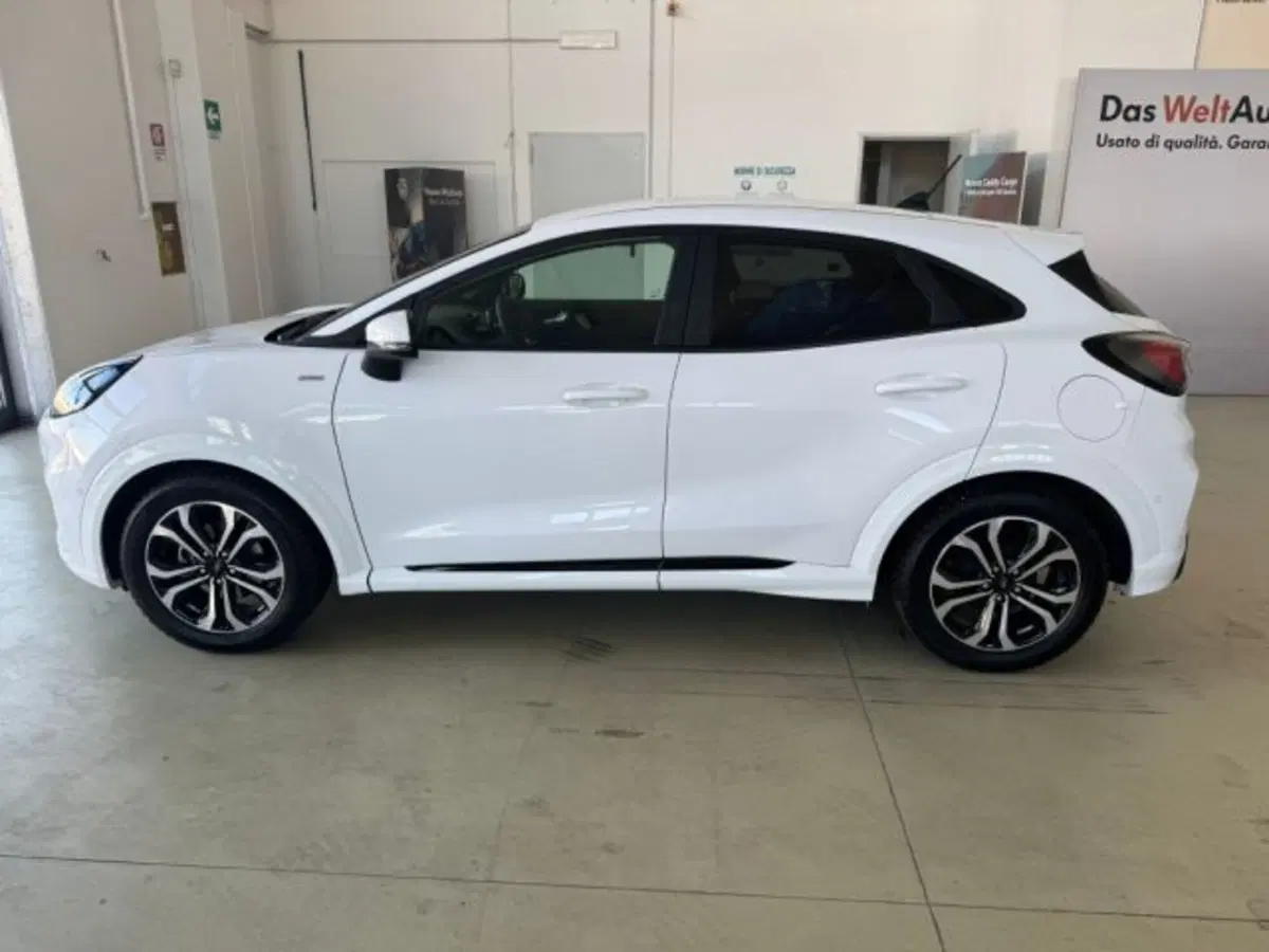 Ford Puma usata a Cuneo (8)
