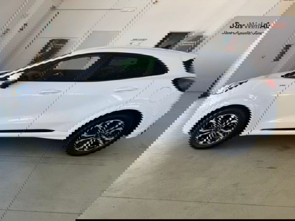 Ford Puma usata a Cuneo (8)