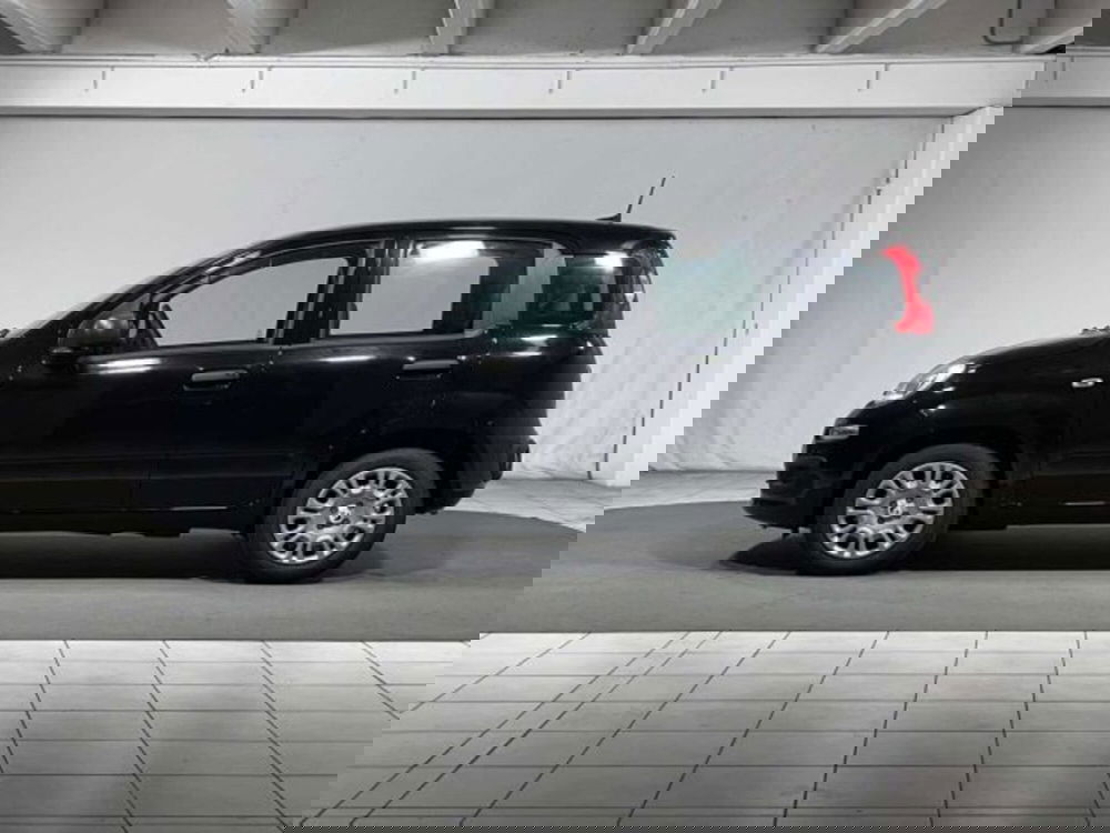 Fiat Panda nuova a Sondrio (2)