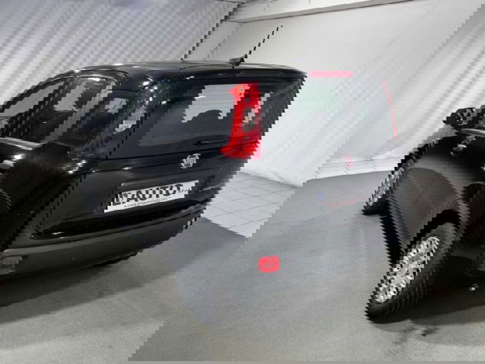 Fiat Panda nuova a Sondrio (3)