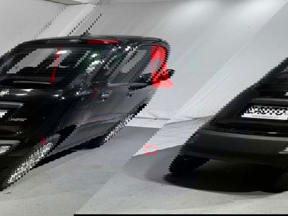 Fiat Panda nuova a Sondrio (5)