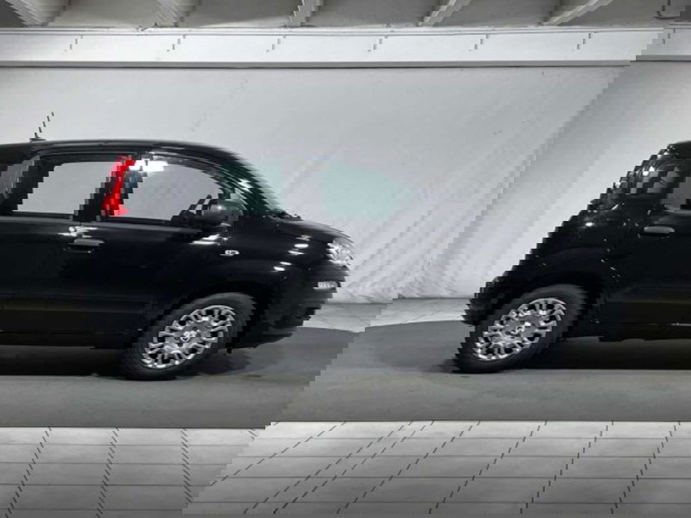 Fiat Panda nuova a Sondrio (6)