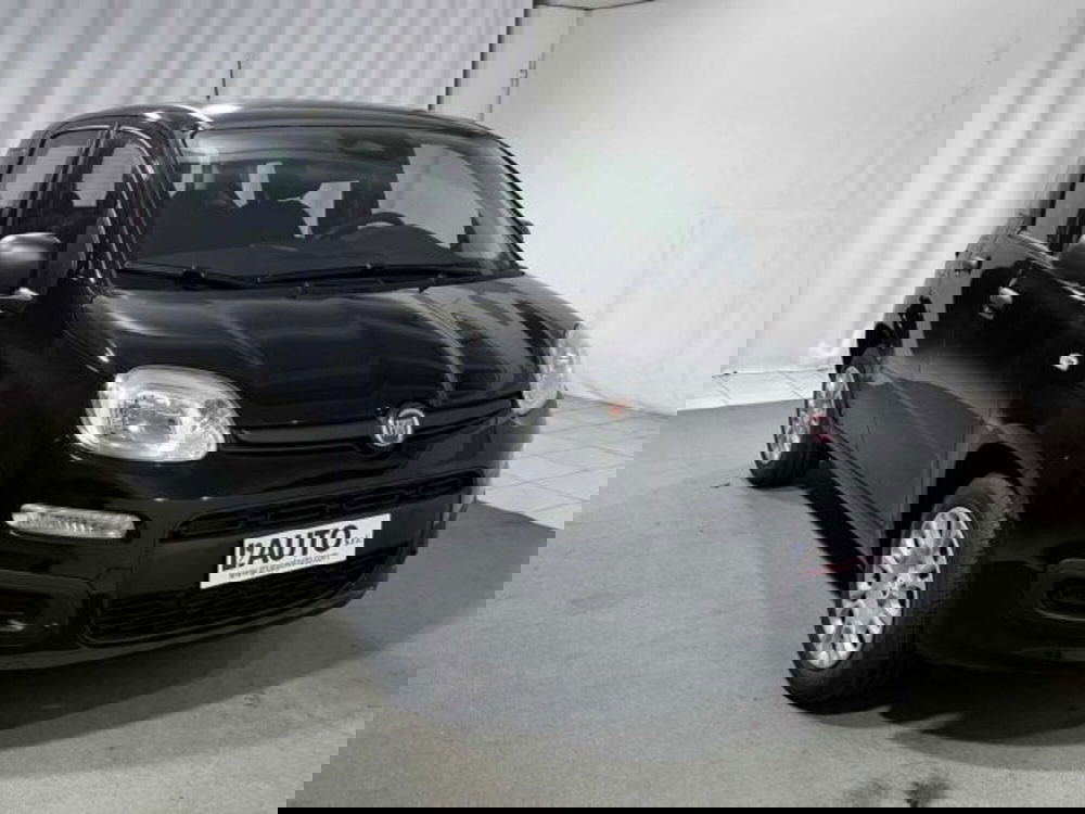 Fiat Panda nuova a Sondrio (7)