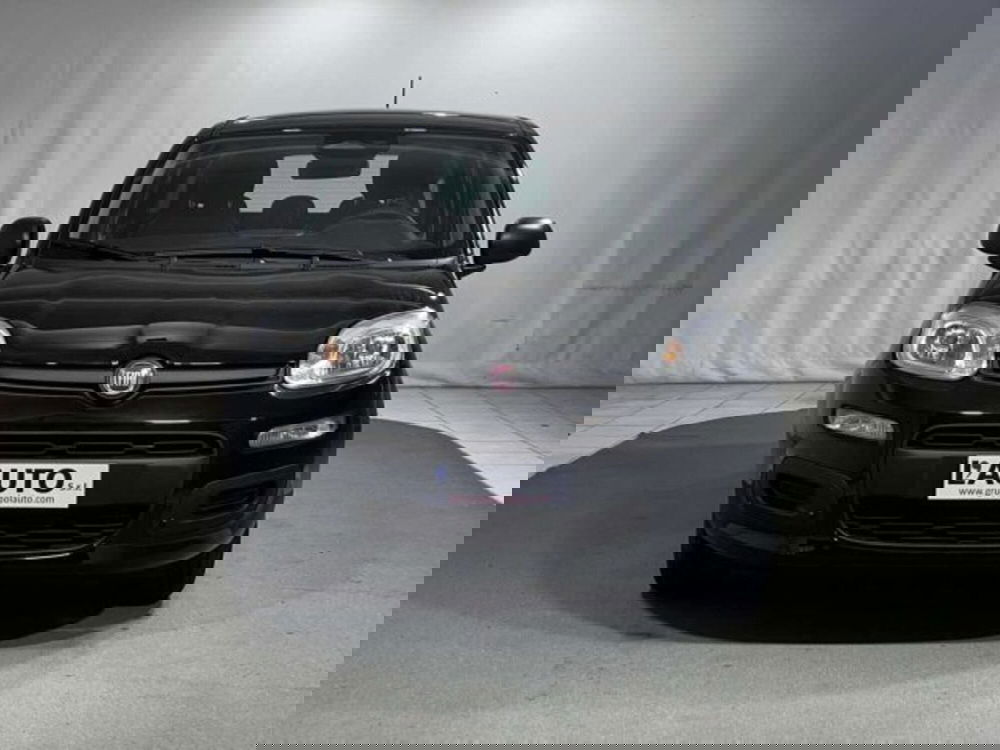 Fiat Panda nuova a Sondrio (8)