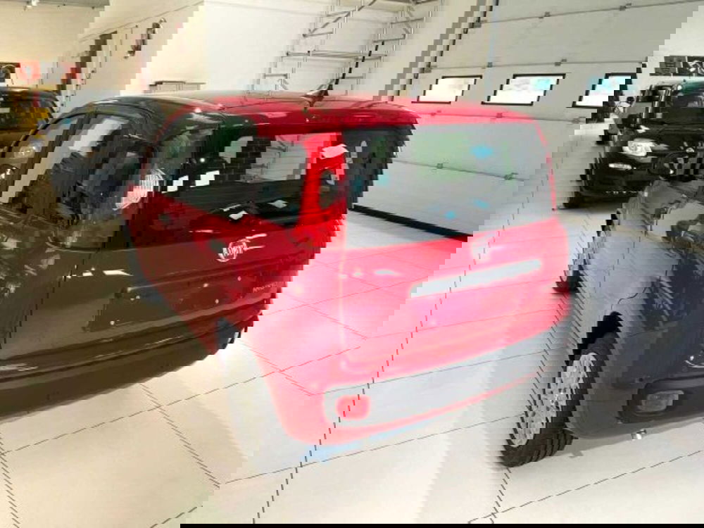 Fiat Panda nuova a Sondrio (3)