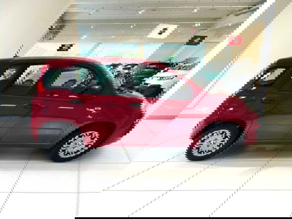 Fiat Panda nuova a Sondrio (6)