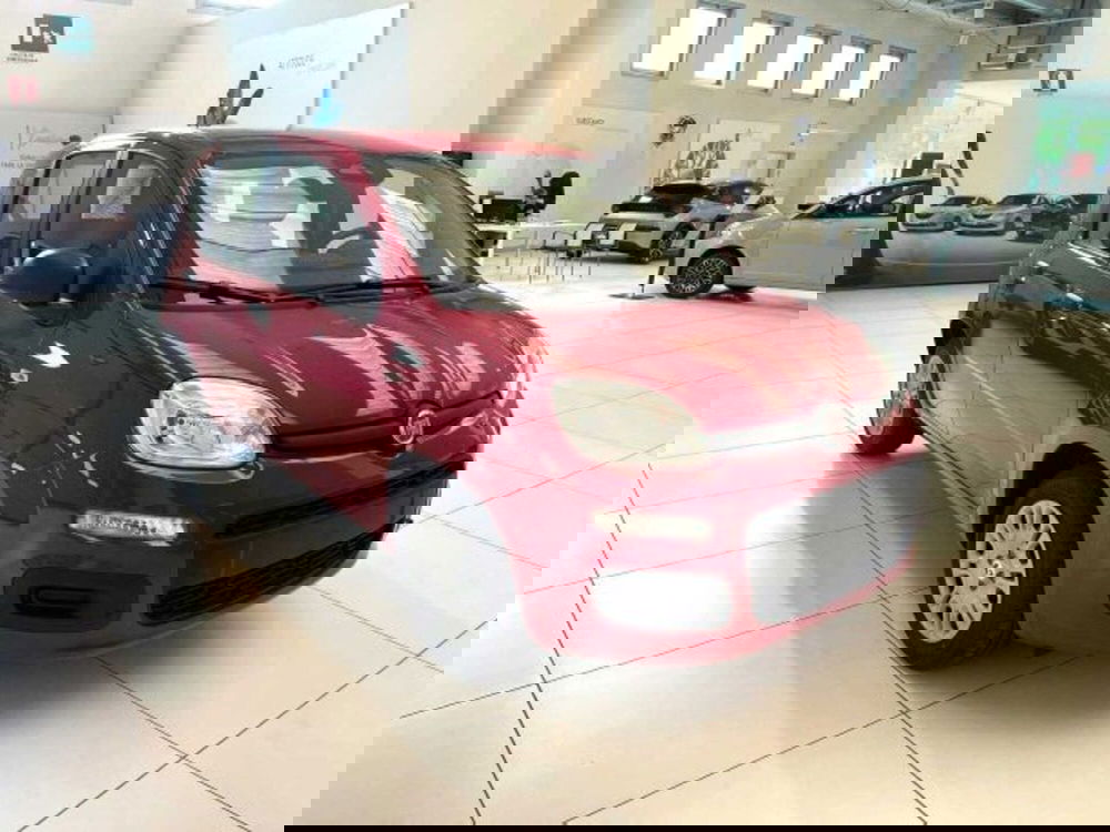 Fiat Panda nuova a Sondrio (7)