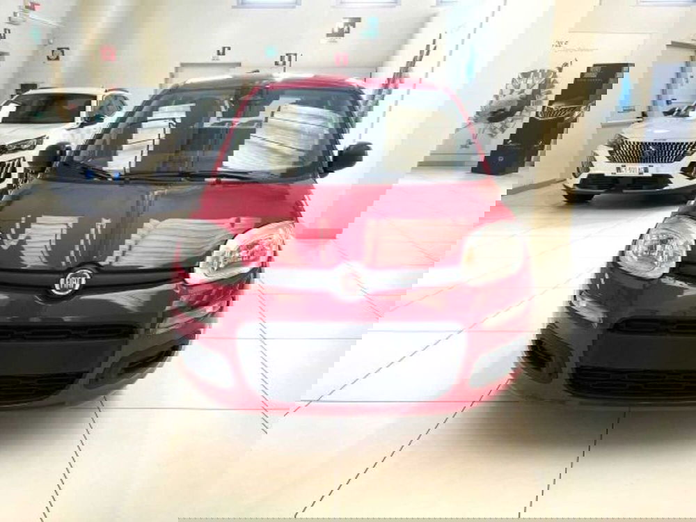 Fiat Panda nuova a Sondrio (8)