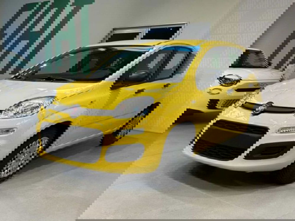 Fiat Panda nuova a Sondrio