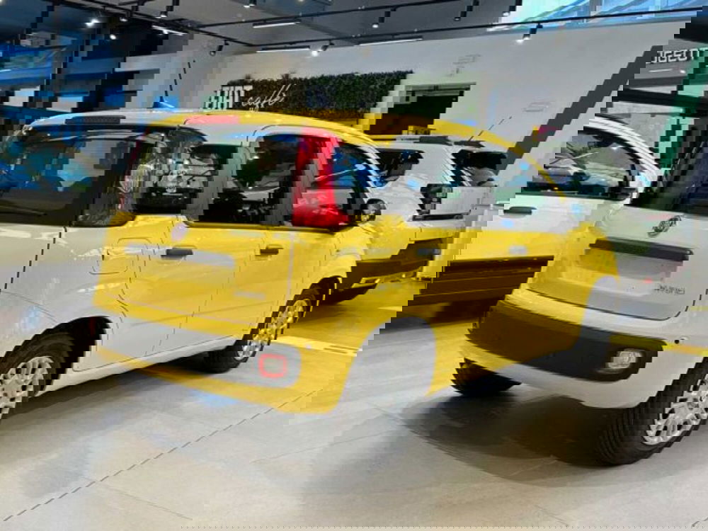 Fiat Panda nuova a Sondrio (5)