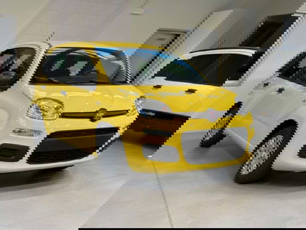 Fiat Panda nuova a Sondrio (7)