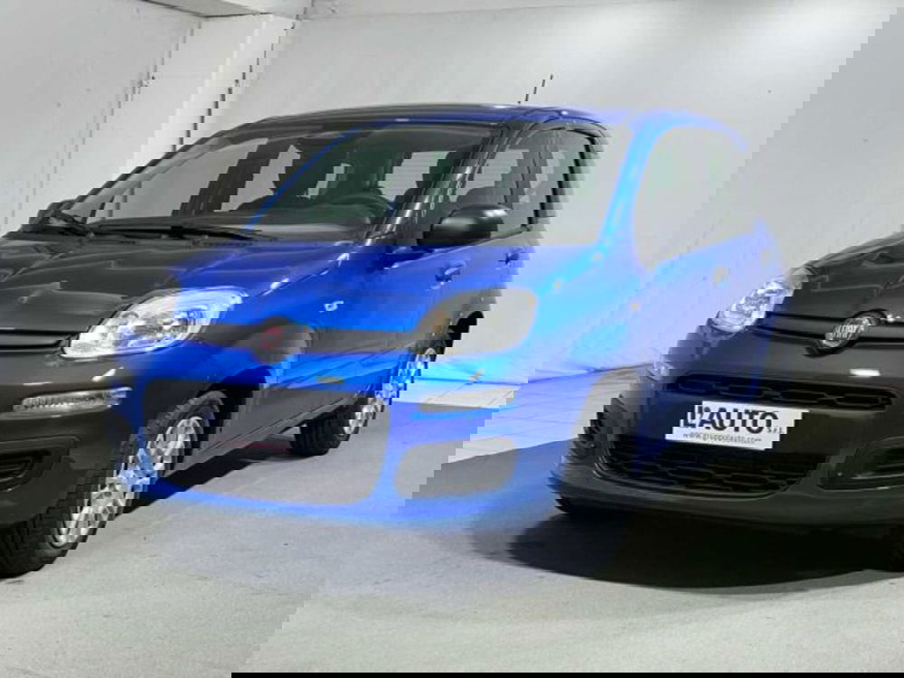 Fiat Panda nuova a Sondrio