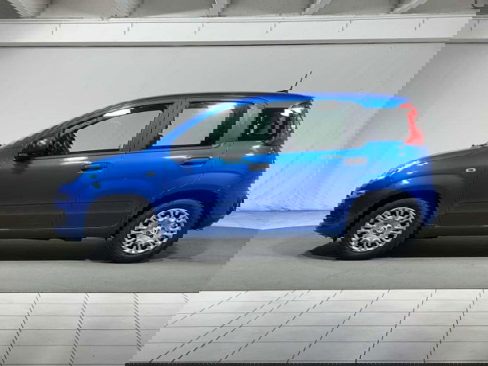 Fiat Panda nuova a Sondrio (2)