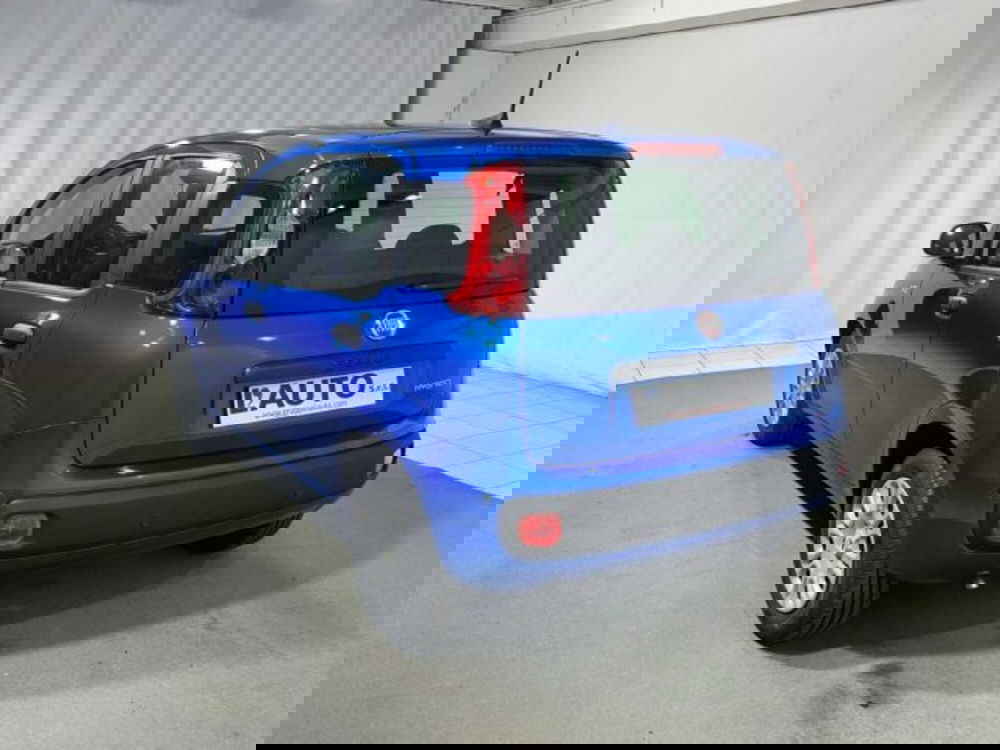 Fiat Panda nuova a Sondrio (3)