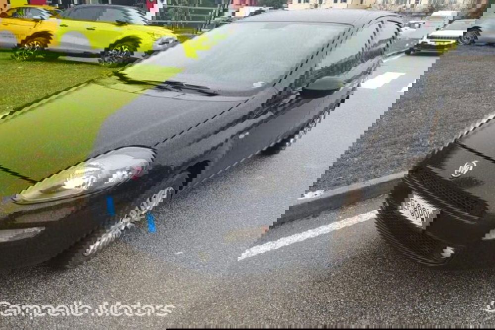 Fiat Punto usata a Venezia