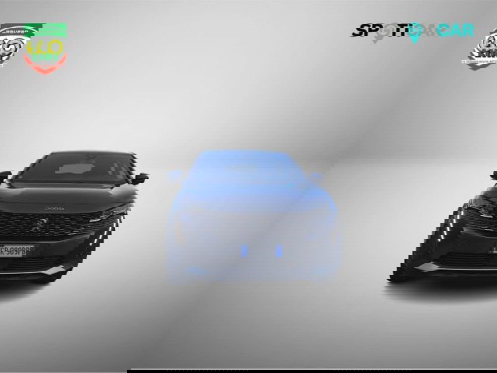 Peugeot 3008 usata a Frosinone (2)