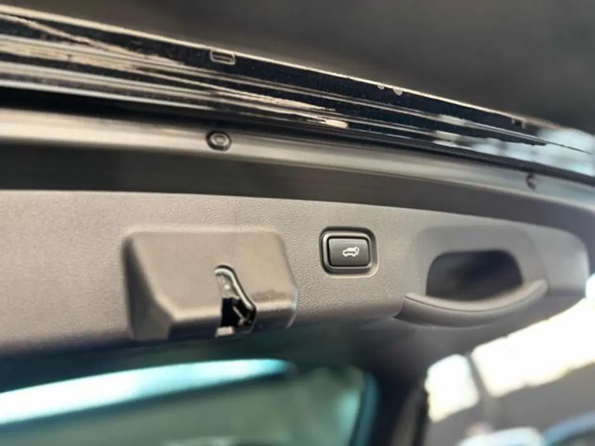 Kia Sportage usata a Pesaro-Urbino (2)