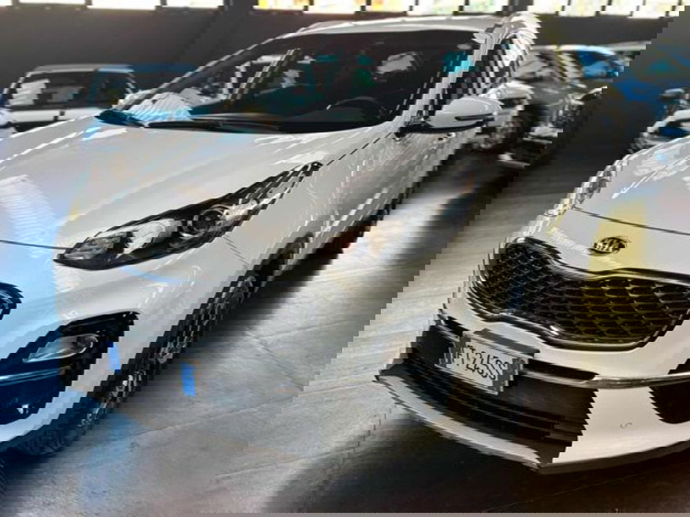 Kia Sportage usata a Pesaro-Urbino (2)