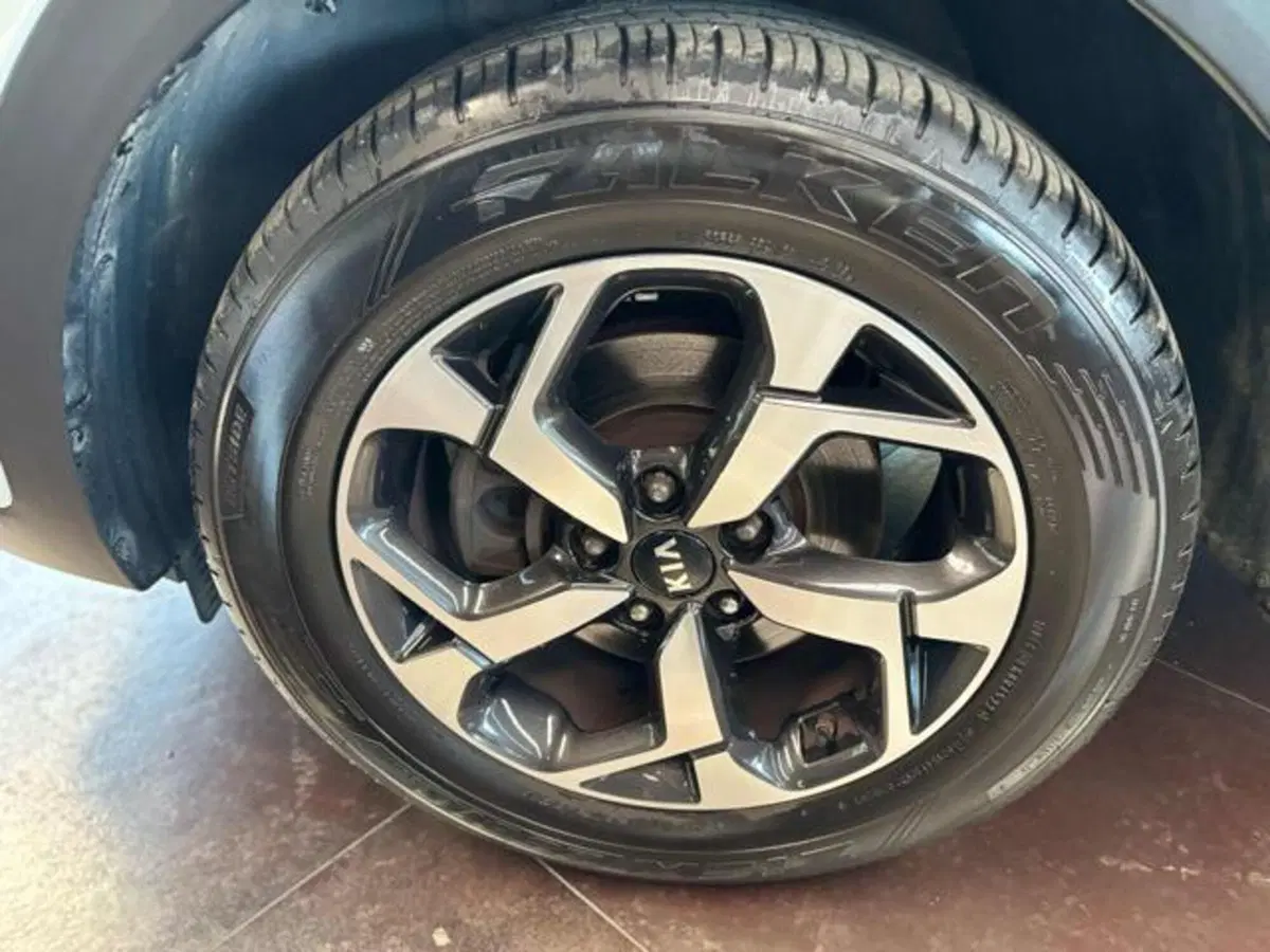Kia Sportage usata a Pesaro-Urbino (6)