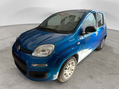Fiat Panda 1.0 firefly hybrid Icon s&amp;s 70cv nuova a Surbo