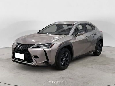 Lexus UX Hybrid 4WD Executive del 2020 usata a Potenza