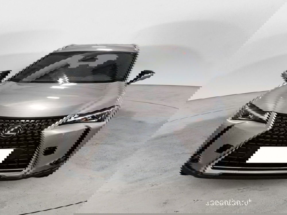 Lexus UX usata a Potenza (2)