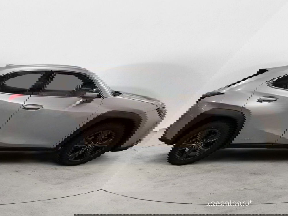 Lexus UX usata a Potenza (5)