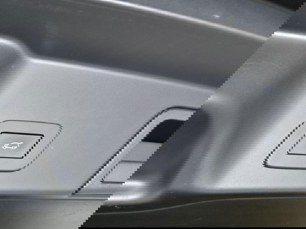 Land Rover Range Rover Evoque usata a Torino (19)