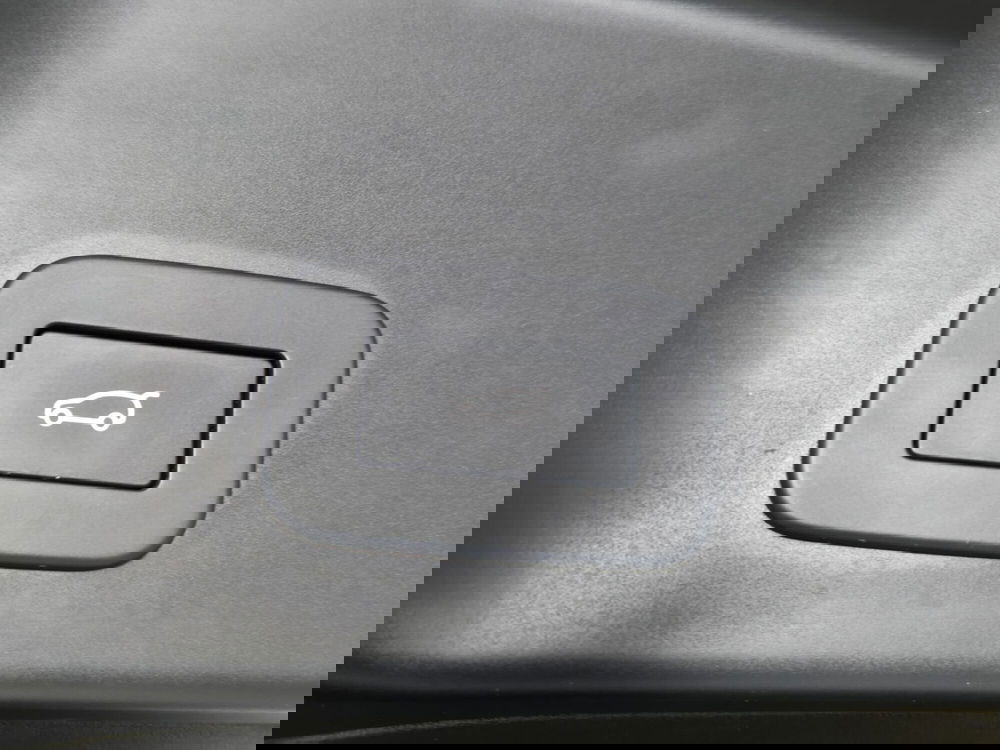 Land Rover Range Rover Evoque usata a Torino (19)