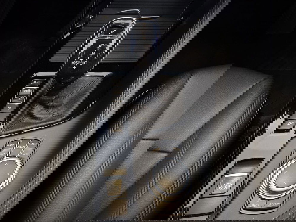 BMW X1 usata a Cuneo (11)