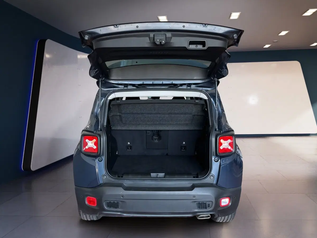 Jeep Renegade usata a Torino (8)