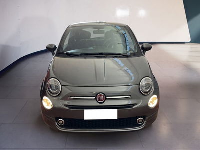 Fiat 500 1.0 Hybrid Cult del 2022 usata a Torino