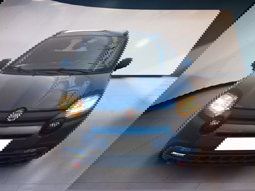 Fiat Panda Cross usata a Torino