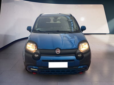 Fiat Panda Cross Cross 1.0 FireFly S&amp;S Hybrid del 2023 usata a Torino