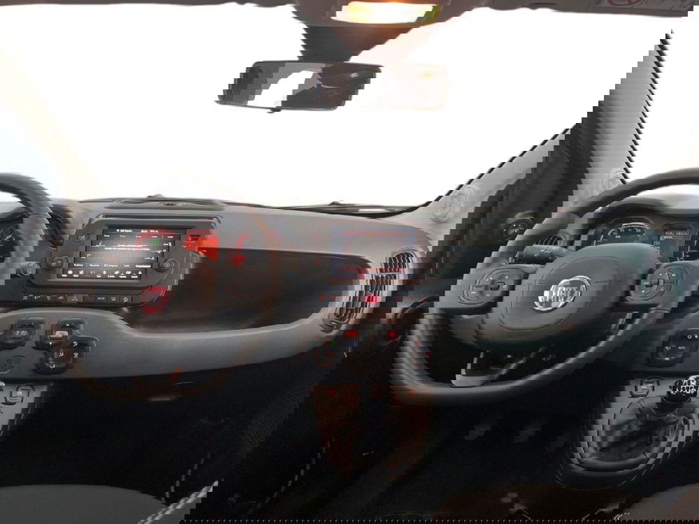 Fiat Panda Cross usata a Torino (11)