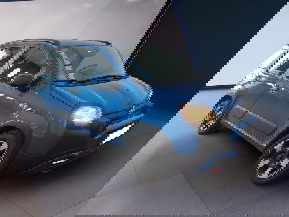 Fiat Panda Cross usata a Torino (2)