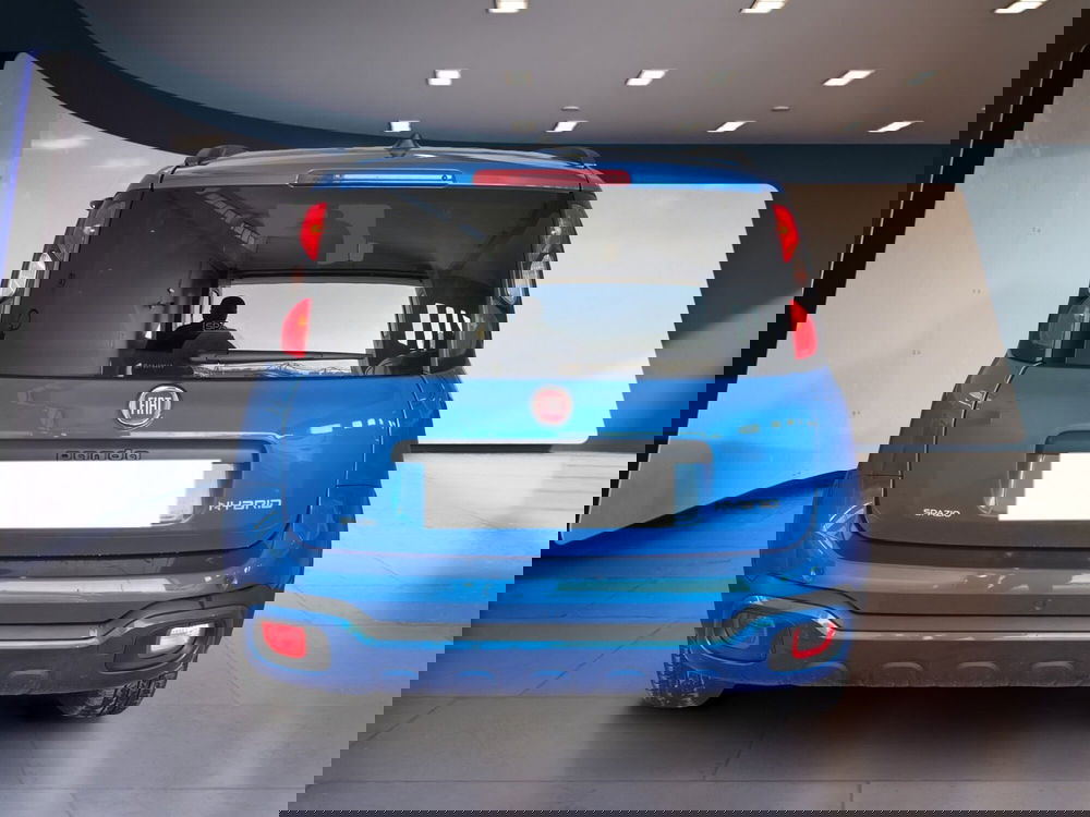 Fiat Panda Cross usata a Torino (5)