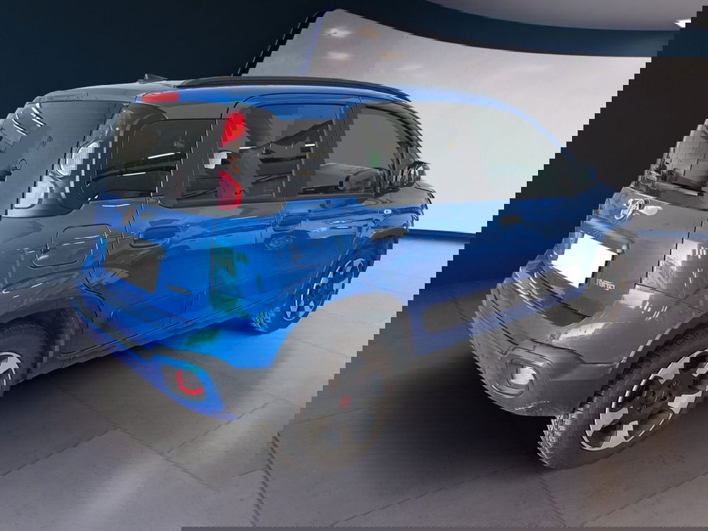 Fiat Panda Cross usata a Torino (6)