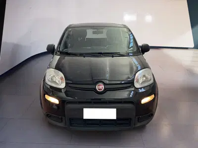 Fiat Panda 1.0 firefly hybrid s&amp;s 70cv 5p.ti del 2023 usata a Torino