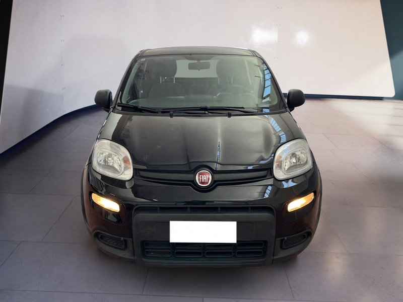 Fiat Panda usata a Torino