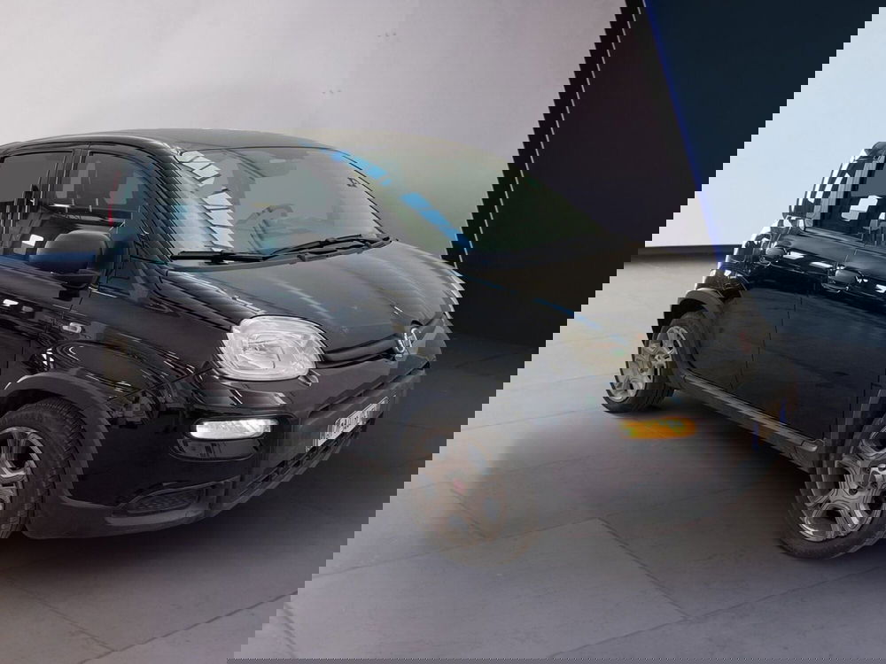 Fiat Panda usata a Torino (2)