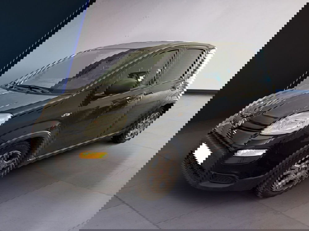 Fiat Panda usata a Torino (3)