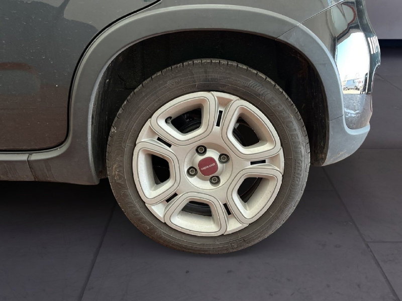 Fiat Panda usata a Torino (8)