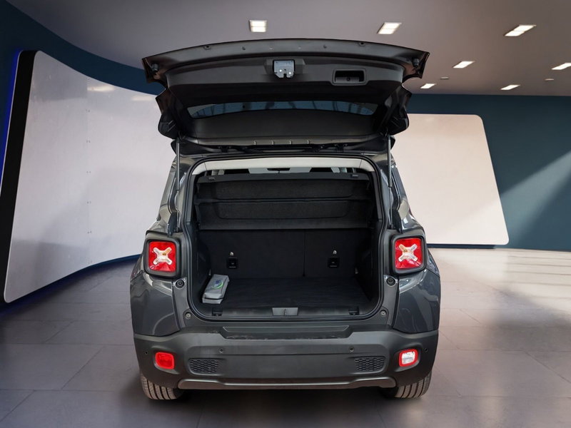 Jeep Renegade usata a Torino (7)