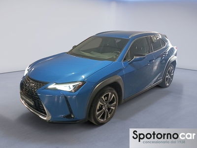 Lexus UX Hybrid 4WD Executive del 2019 usata a Milano