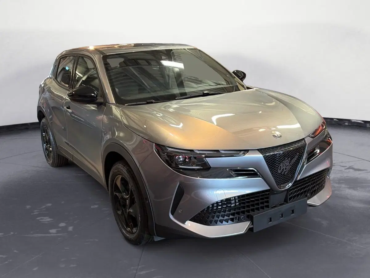 Alfa Romeo Junior nuova a Ancona (8)