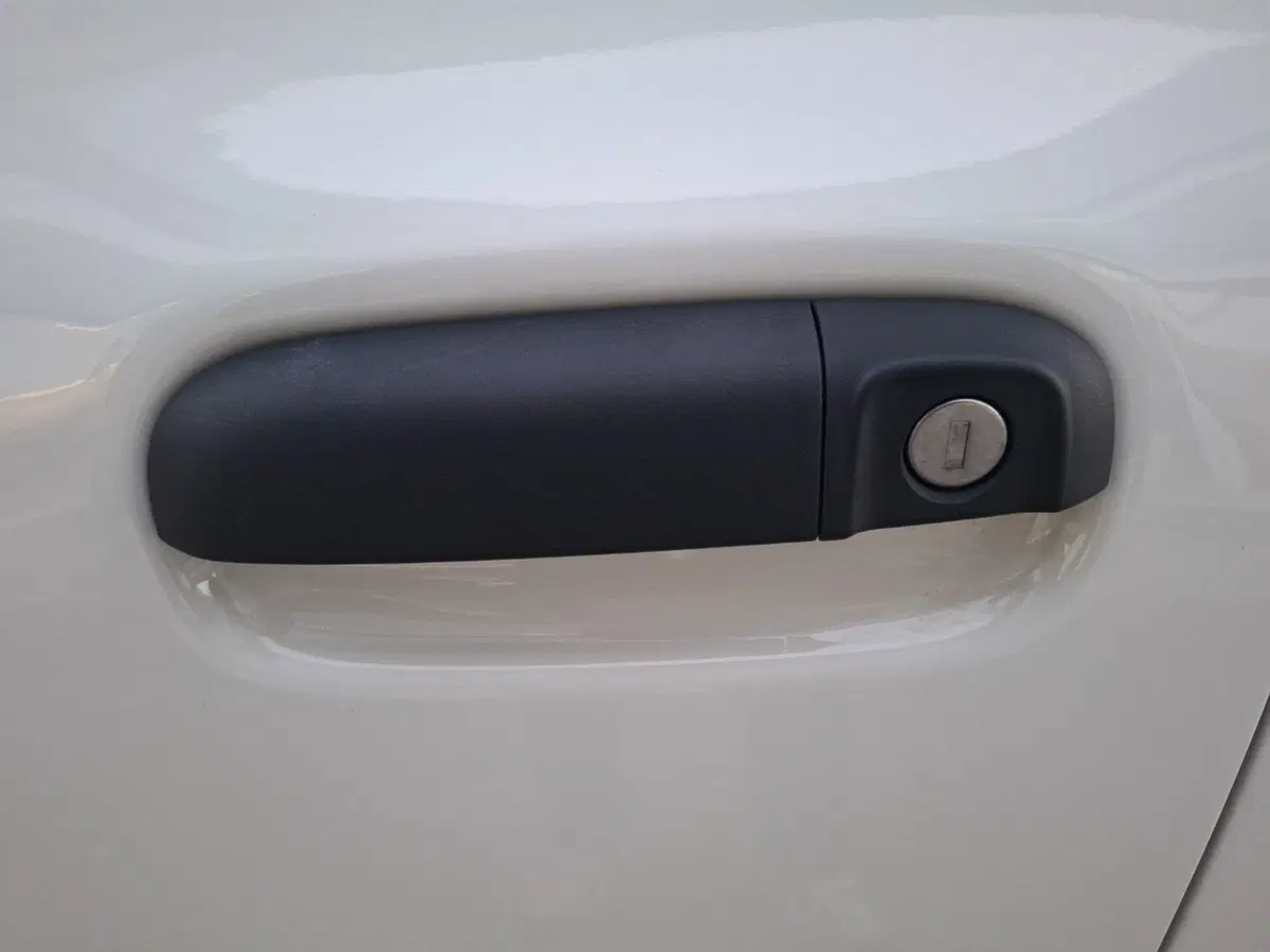 Fiat Panda Cross nuova a Ancona (11)