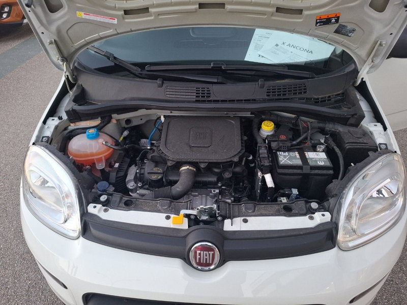Fiat Panda Cross nuova a Ancona (13)