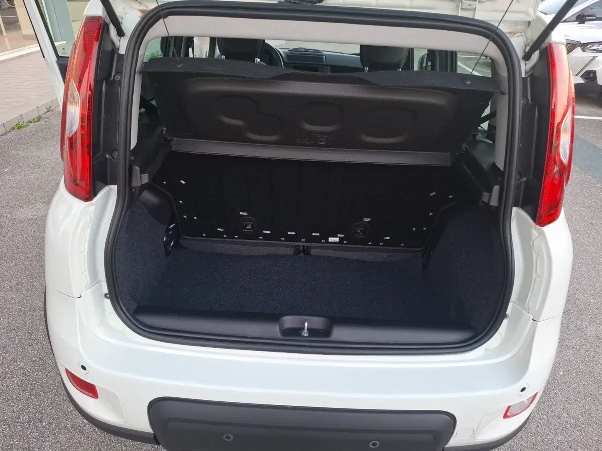 Fiat Panda Cross nuova a Ancona (14)