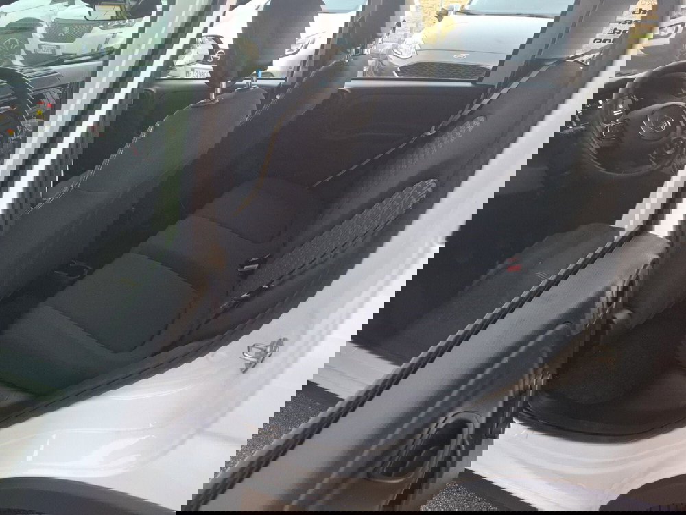 Fiat Panda Cross nuova a Ancona (18)